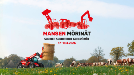 Manitou kurottaja siirtää heinäpaalia pellolla, jossa on lehmiä.