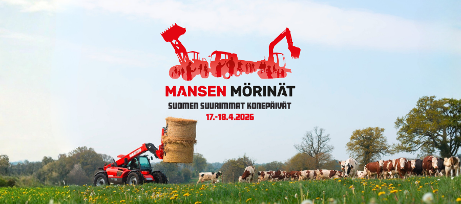 Manitou kurottaja siirtää heinäpaalia pellolla, jossa on lehmiä.